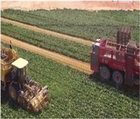 الزراعة: تجهيز تقاوي القمح للموسم الجديد بمشروع مستقبل مصر| فيديو