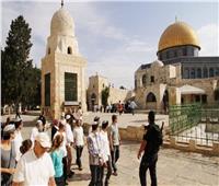 عشرات المستوطنين الإسرائيليين يقتحمون ساحات المسجد الأقصى المبارك