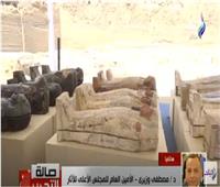 مصطفى وزيري يكشف تفاصيل الكشف الأثري الجديد في سقارة | فيديو