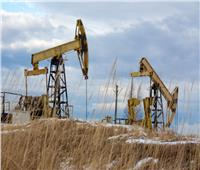 «روسنفت» تخطّط لتوزيع أرباح سنوية قياسية بدعم مكاسب النفط