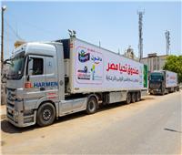 «تحيا مصر» يوزع 44 طن مواد غذائية على 2000 أسرة بالجيزة| صور