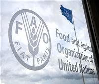 منظمة الأغذية: صراع أوكرانيا يهدد بمجاعة نحو 15 مليون شخص في العالم 