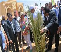 وزيرة البيئة ومحافظ الوادي الجديد يطلقان مبادرة «زراعة ١٠٠٠ شجرة مثمرة»