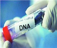 الطب الشرعي بالمنصورة يأخذ عينات DNA من الأب وخطيب الفتاة