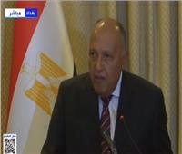 وزير الخارجية: نتطلع لتعزيز التعاون مع الدول العربية لتعزيز أمننا القومي