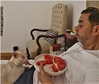 مدحت صالح يطعم قطته سعاد «بطيخ» بالشوكة