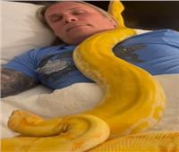 ثعابين ضخمة تزحف على صدر رجل أثناء نومه | فيديو
