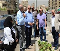 محافظ القاهرة يتفقد أعمال تطوير حى شرق مدينة نصر 