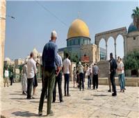 عشرات المستوطنين يقتحمون باحات المسجد الأقصىى