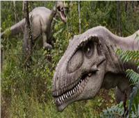 قبل 98 مليون عامًا.. العثورعلى حفرية ديناصور مرعب كان يعيش في مصر 