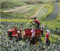 مزارعو البرازيل يحجمون عن شراء الأسمدة لحين انخفاض الأسعار