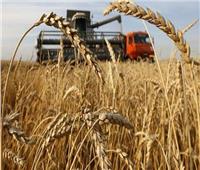 جوتيرش: يجب عودة إنتاج أوكرانيا وروسيا من المواد الغذائية لوضعه الطبيعي