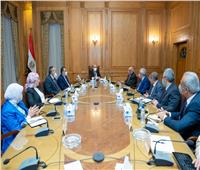 وزير الإنتاج الحربي: خبراء مصر بالخارج ساهموا في إنجاح مؤتمر «مصر تستطيع»
