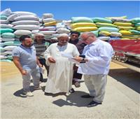 محافظ البحيرة: توريد 373 ألف طن من القمح  لشون وصوامع المحافظة