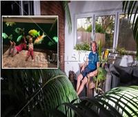 رجل ينفق مبلغًا خياليًا لبناء مخبأ استوائيًا في حديقة منزله | فيديو