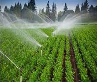 «ري القليوبية»: المشروعات الحديثة وفرت 70% من استخدام المياه مع زيادة الإنتاجية