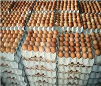 الإنتاج الحيواني: حققنا اكتفاء ذاتي من إنتاج بيض المائدة ونصدر للخارج |فيديو