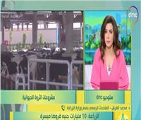 متحدث الزراعة: مصر حققت الاكتفاء الذاتي في كل منتجات الألبان | فيديو 