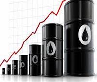 أمريكا تبيع 45 مليون برميل من احتياطيات النفط إلى 9 شركات 