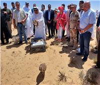 تعاون مصري إماراتي لإطلاق وإعادة توطين طيور الحباري بمرسى مطروح