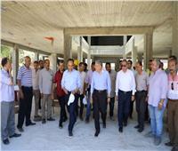 محافظ المنيا يتابع مشروعات «حياة كريمة» بأبوقرقاص