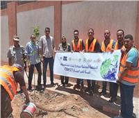 محافظ أسيوط: تنفيذ حملة تشجير بزراعة 1000 شجرة مثمرة بمركز القوصية 