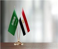 مصر والسعودية شراكة شاملة تترجمها اتفاقات وبروتوكولات تعاون في كافة المجالات