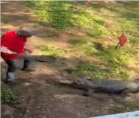 فيديو صادم.. رجل يحارب تمساحًا بالمقلاة بأستراليا 