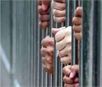 حبس 17 شخصا بتهمة الاتجار في المواد المخدرة بالقليوبية