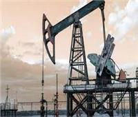 «البترول»: حقل ظهر ساهم في تحول مصر من مستورد لـ مصدر