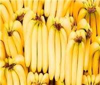 الموز.. «فاكهة ذهبية» لها فوائد صحية كبيرة