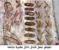 «المصري القديم» أول مكتشف لتكنولوجيا تربية نحل العسل وإنتاج الملكات في العالم 