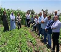 «الزراعة» و«الألمانية» يتابعان أنشطة مشروع الابتكار الزراعي في بني سويف
