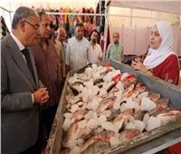 محافظ المنيا ووكيل وزارة التموين يتابعان استعدادات عيد الأضحى
