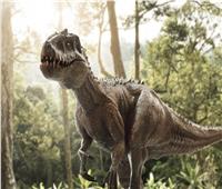 انقراض الديناصورات بسبب اصطدام كويكب بالأرض قبل 66 مليون عام
