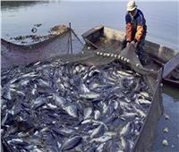 استقرار أسعار الأسماك في سوق العبور اليوم 3 يوليو