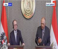 وزير الخارجية: العلاقات المصرية النمساوية مبنية على الثقة المتبادلة والصداقة