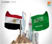 المركزى للاحصاء: السعودية تستورد مجموعات سلعية من مصر بـ 6 مليار دولار 