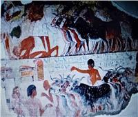 خبير أثري يكشف أسرار تقديم القرابين وذبح الأضاحي في عهد المصريين القدماء