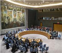 بسبب «النازية الجديدة» في أوكرانيا .. روسيا تدعو مجلس الأمن لعقد اجتماع 