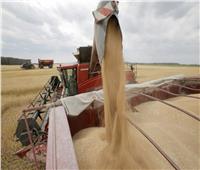 الأمم المتحدة: استمرار المحادثات بشأن تنظيم تصدير الحبوب الأوكرانية
