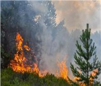السيطرة على حريق بمخلفات أشجار بـ6 أكتوبر