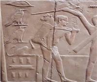 مقبرة «كاجمني» بسقارة تؤكد رفق المصريين القدماء بالحيوان 