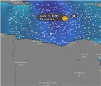 «الأرصاد» تحذر المصطافين: غداً ذروة ارتفاع أمواج البحر المتوسط |صور