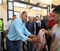 محافظ المنيا: المجازر الحكومية استقبلت 1292 رأس ماشية متنوعة