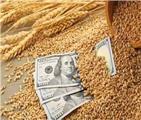 بورصة شيكاغو تغلق التداول بتراجع أسعار القمح بنسبة 2.30%