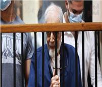 حيثيات الحكم بالسجن المشدد 15 سنة لـ«محمود عزت وأبو الفتوح»