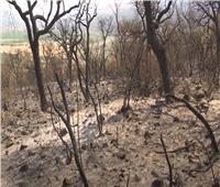 آثار دمار كبيرة لحرائق الغابات بالمغرب بسبب ارتفاع درجة الحرارة | فيديو