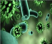 منظمة الصحة العالمية: غانا تعلن أول ظهور لمرض فيروس ماربورج في البلاد
