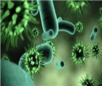 «الصحة العالمية» تعلن تفشي فيروس «ماربورغ» في غانا